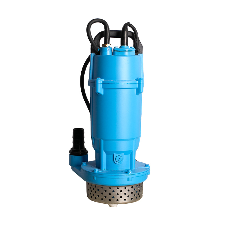Pompe submersible électrique de 220V 50hz 110V 60hz QDX Series avec des  fabricants de corps de fonte et des fournisseurs Chine - vente en gros de  l'usine - pompe de Dalang